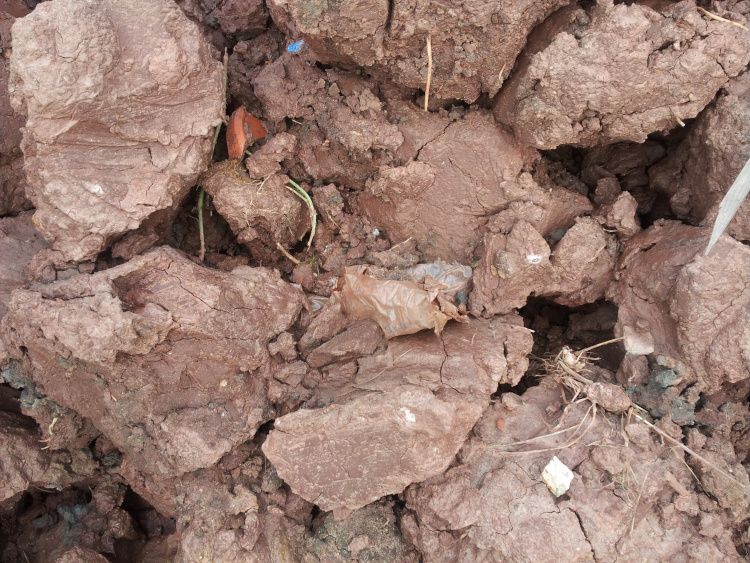 Natural & Native Clay